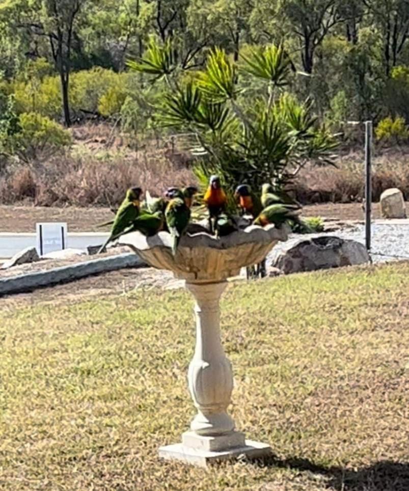 Bowen Sunrise Retreat Homestay