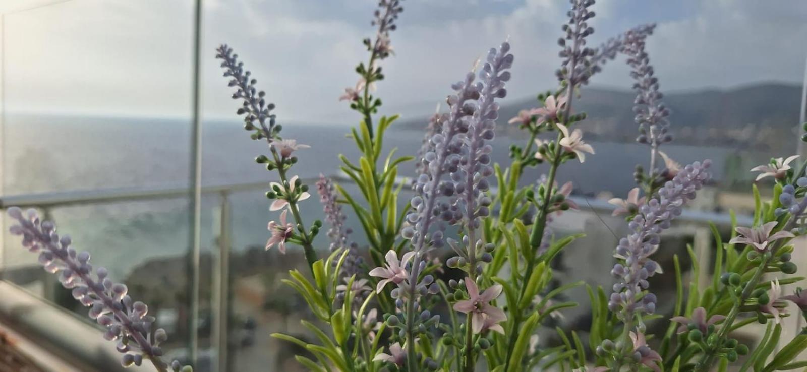Sadet's Penthouse Saranda