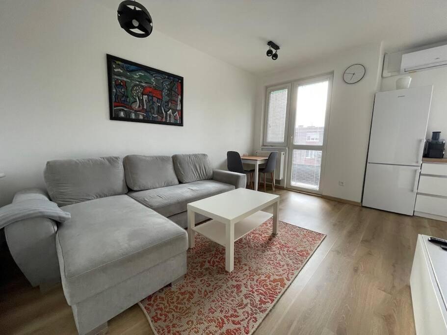 New Stylish City Center Apartment view 5
