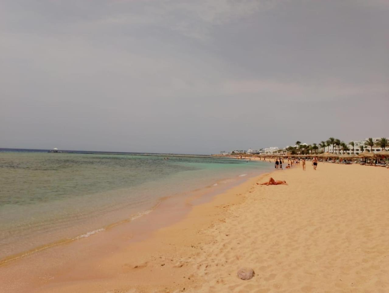 SUNNY BEACH resort apartment for rent in Montazah