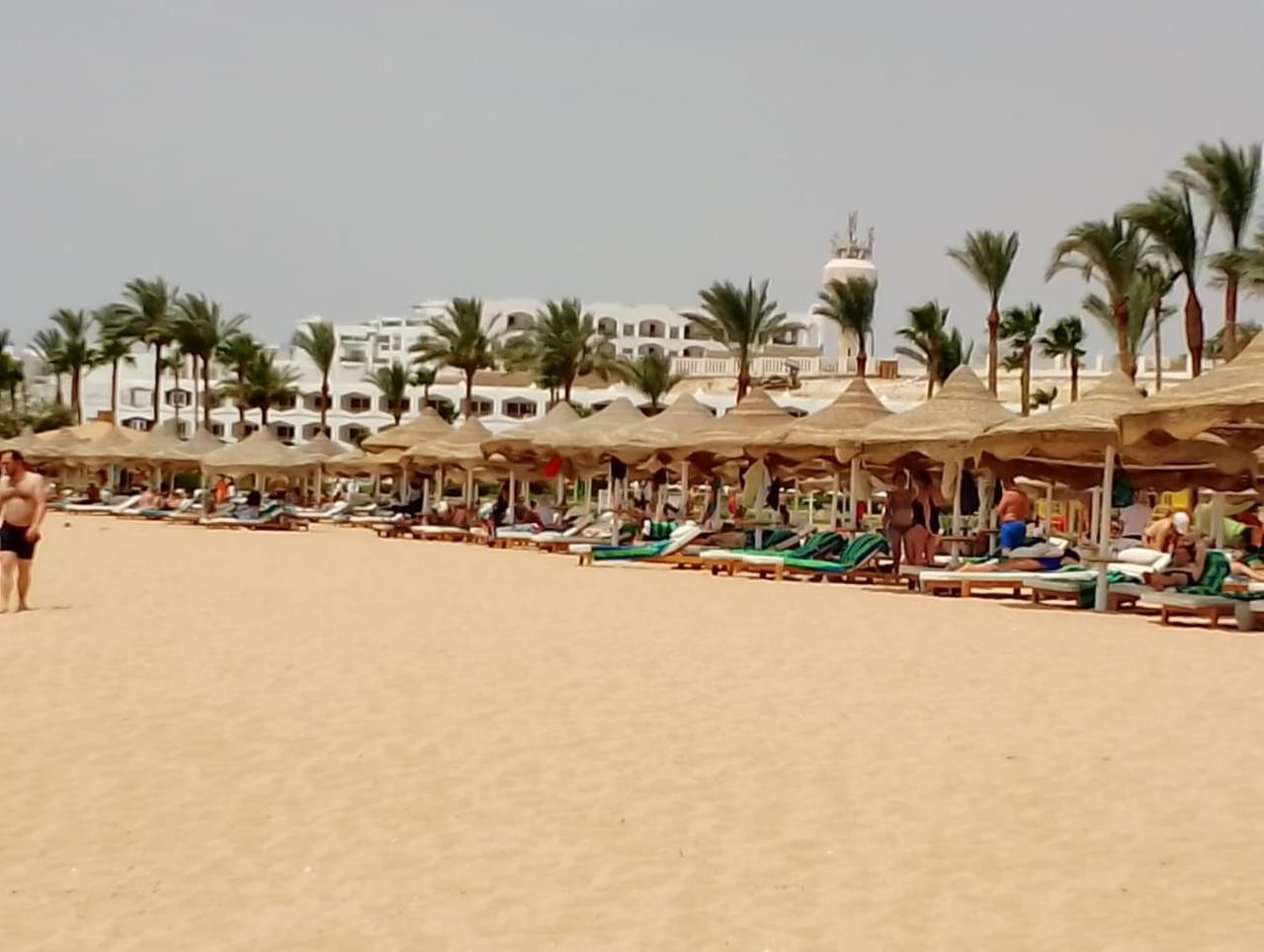 SUNNY BEACH resort apartment for rent in Montazah