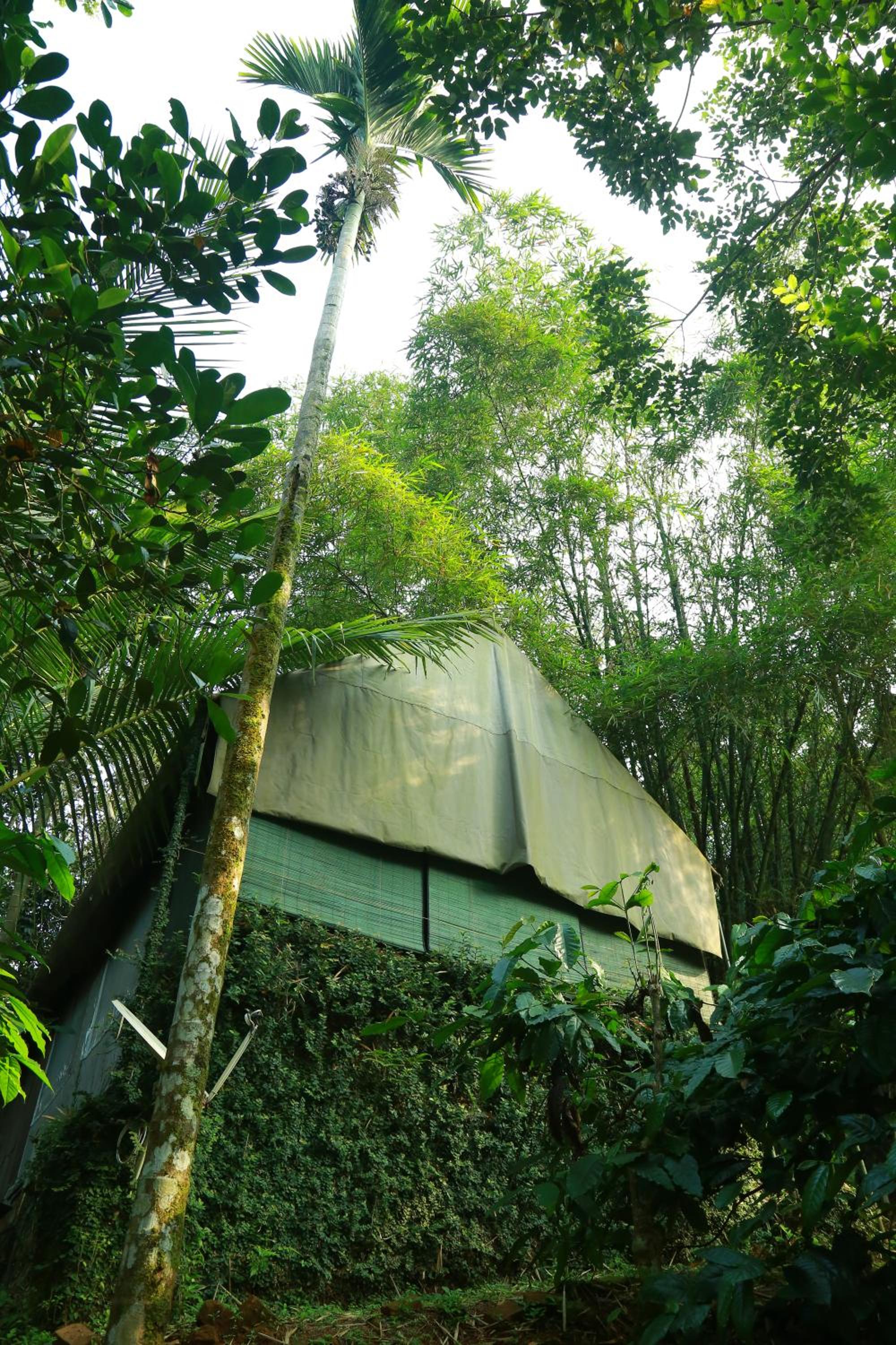 Grassroots Wayanad, Valley-view Tents