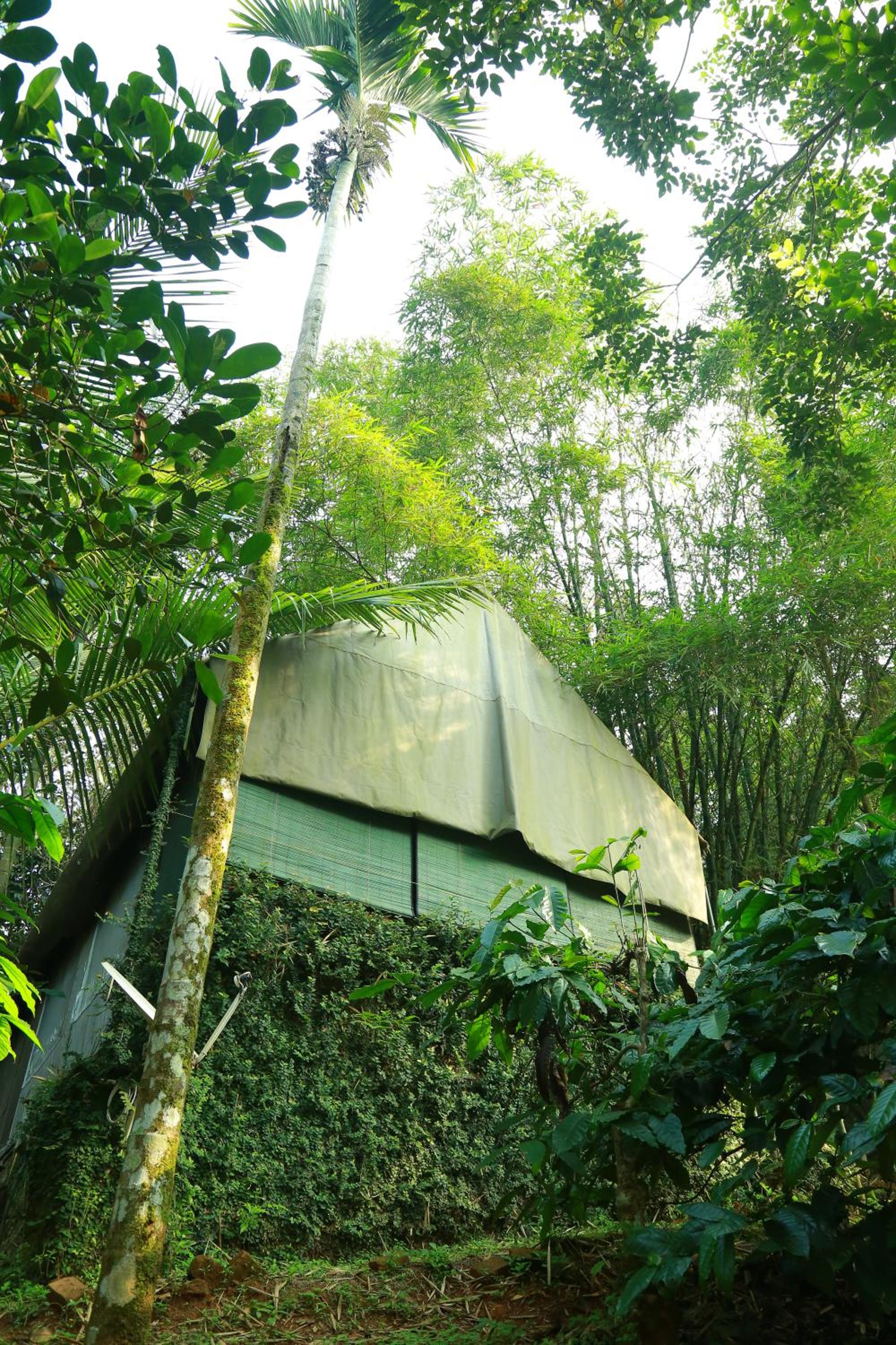 Grassroots Wayanad, Valley-view Tents