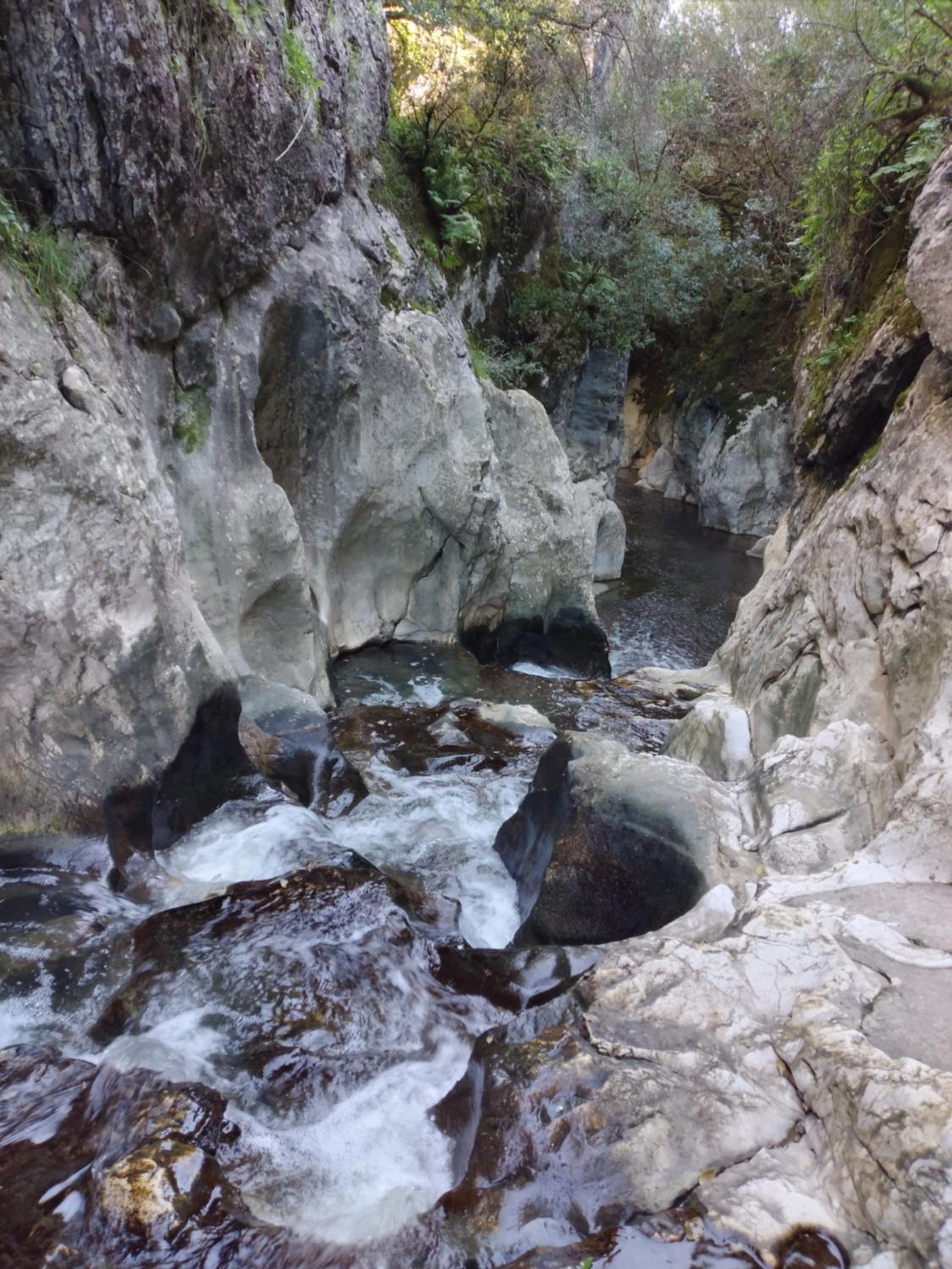 Photo 52