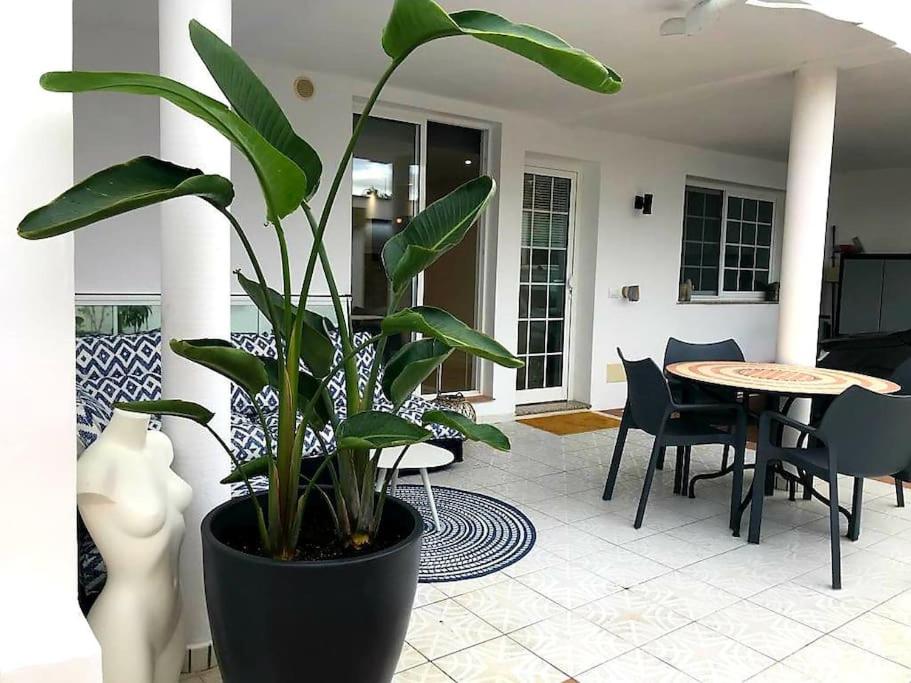 Pura Vida Strandnahes Ferienappartment in bester Lage!