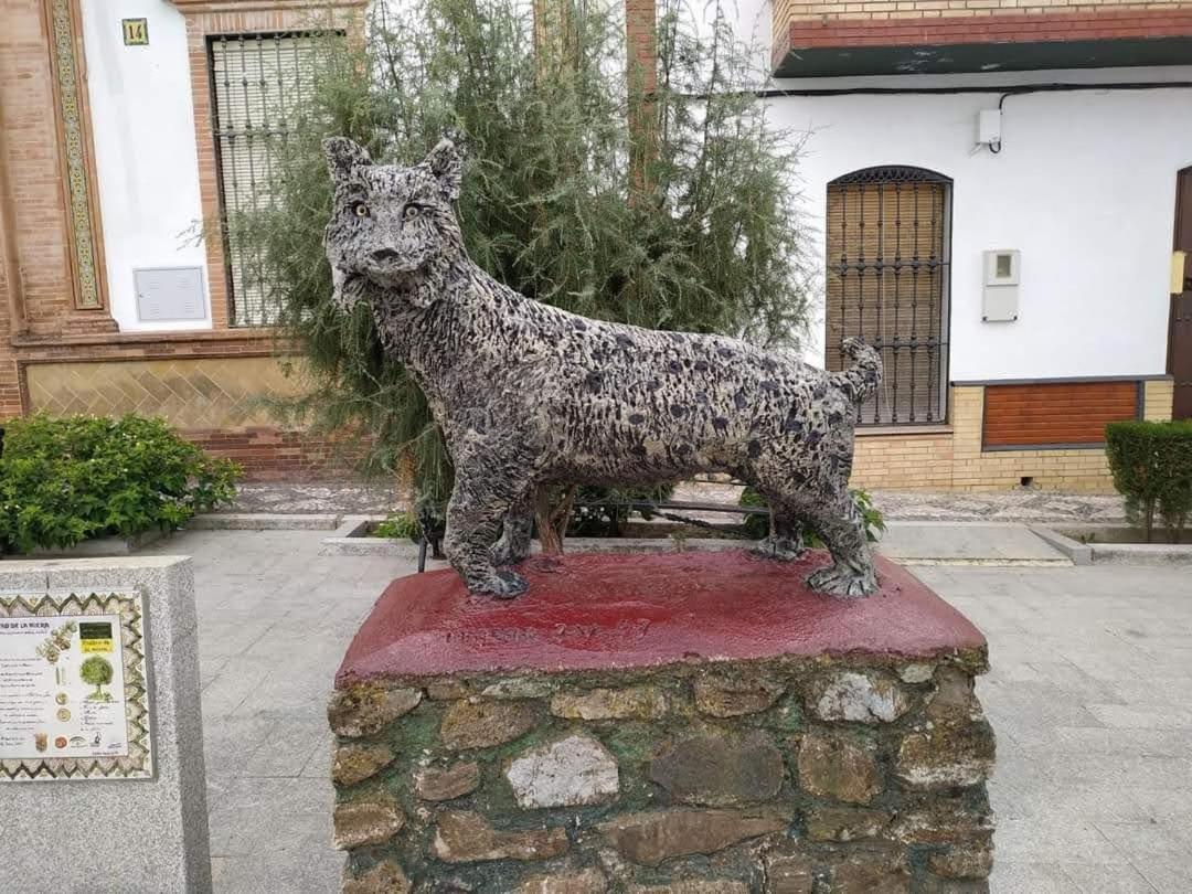 An Ca La Abuela Pilar