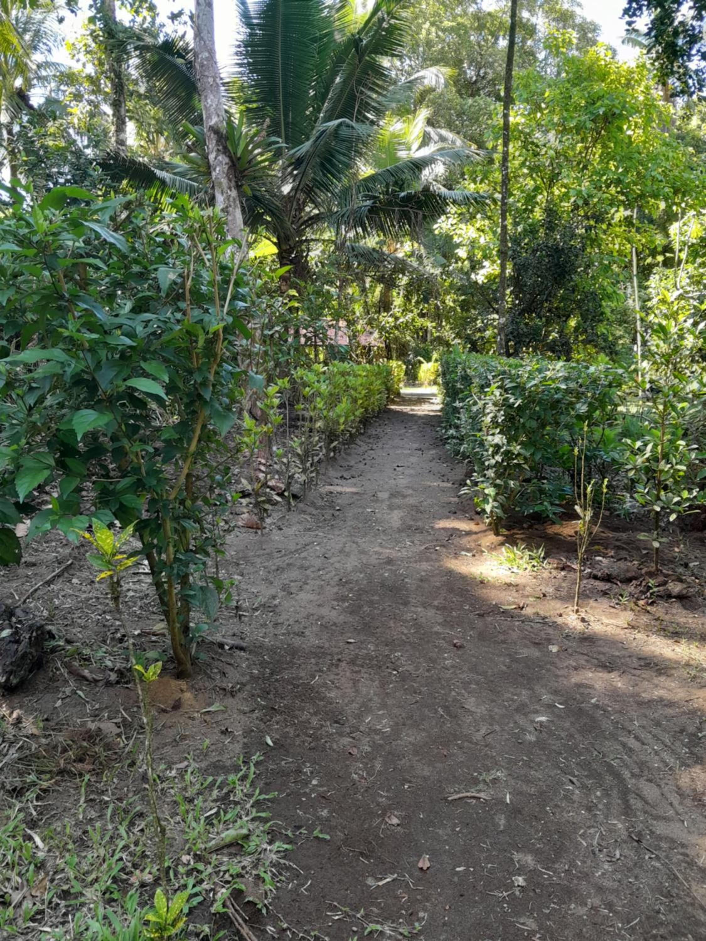 Ecohotel Bahía Terco