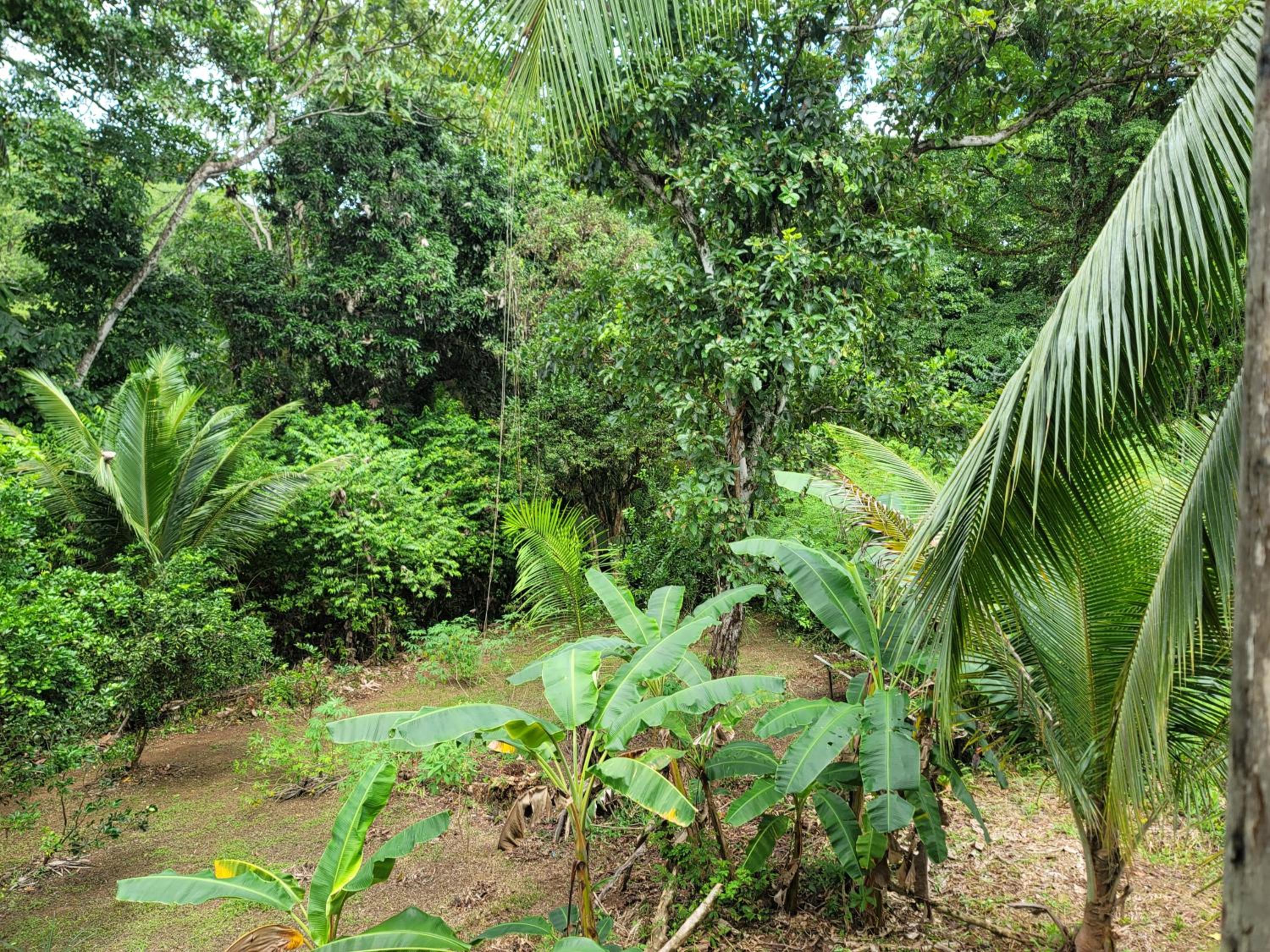 Ecohotel Bahía Terco