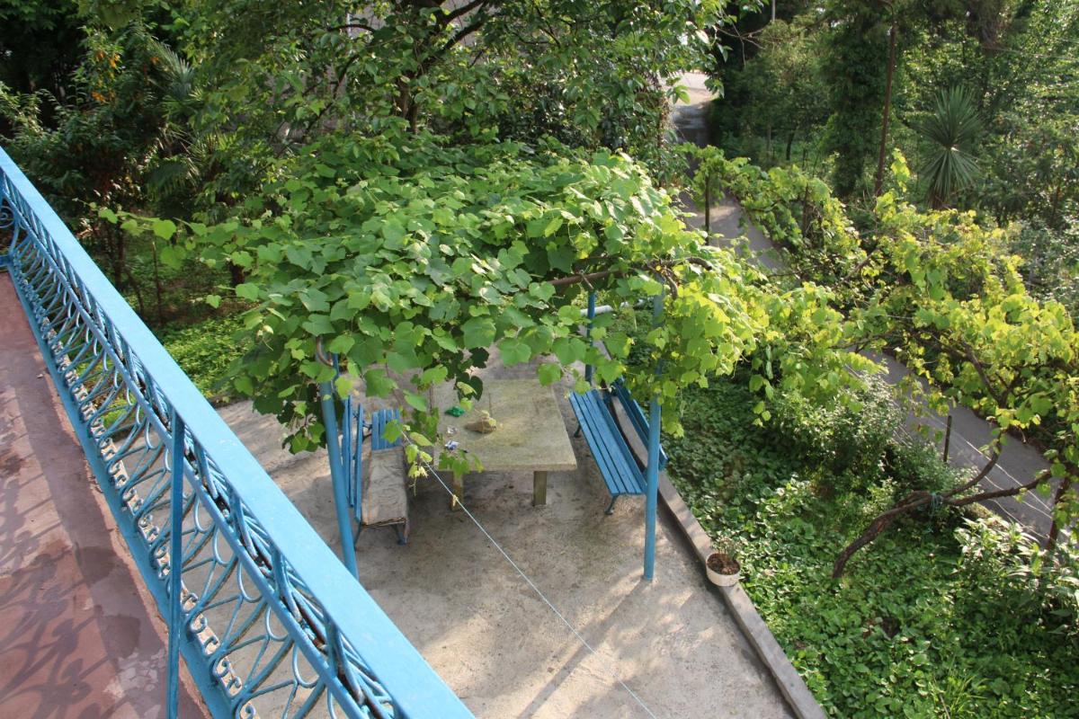 Photo 11