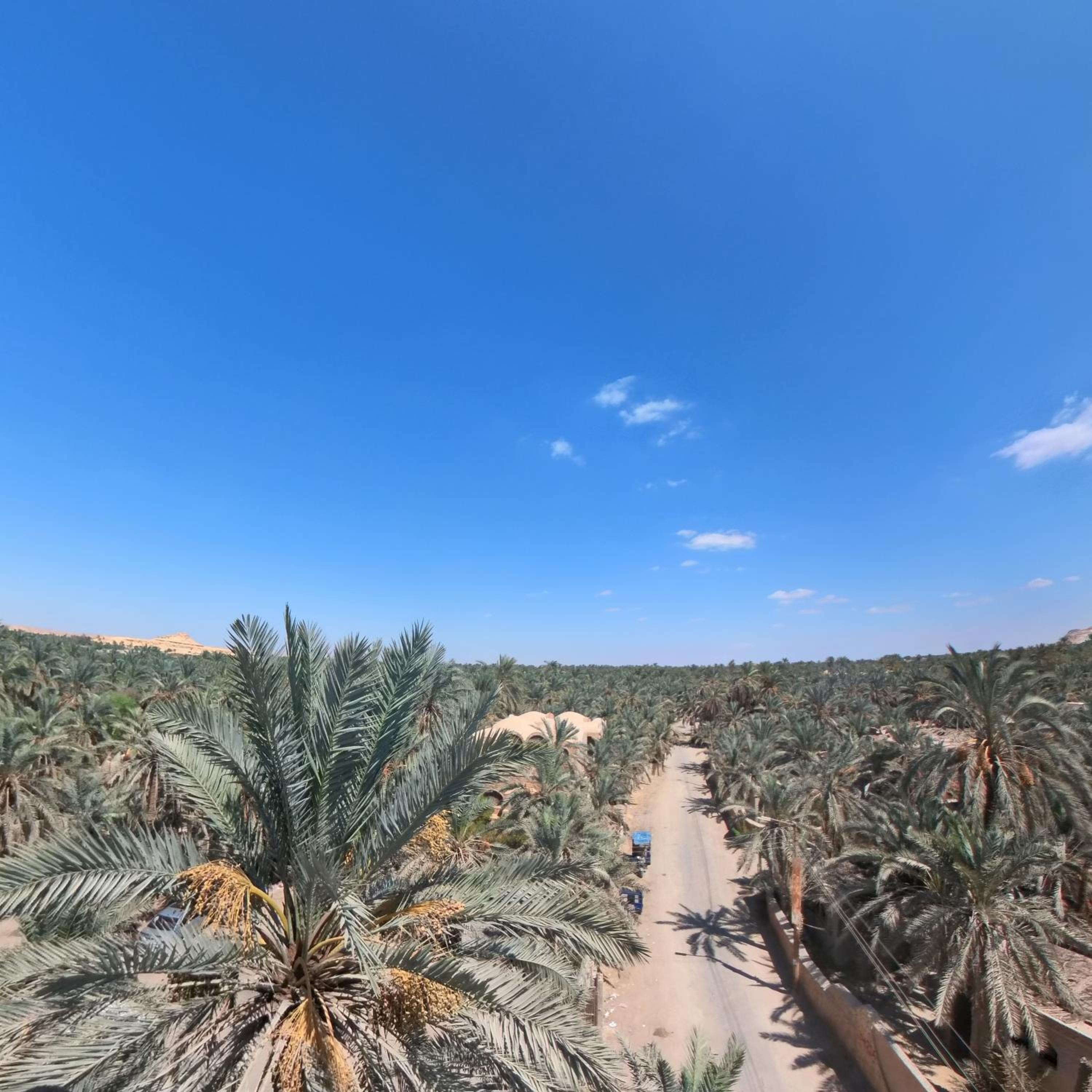 Siwa star