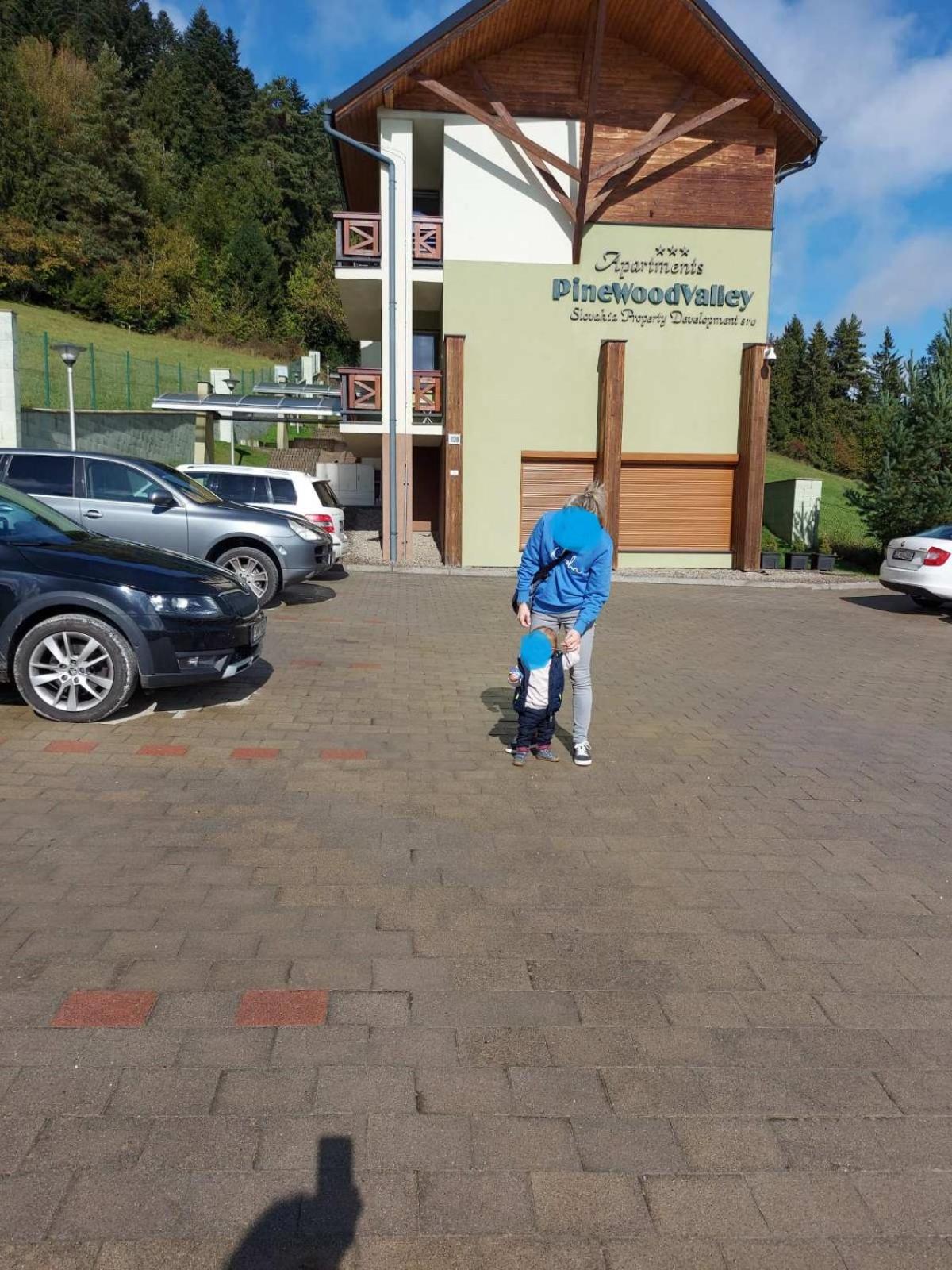 Apartment SKI-BIKE-HIKE, Vyšné Ružbachy