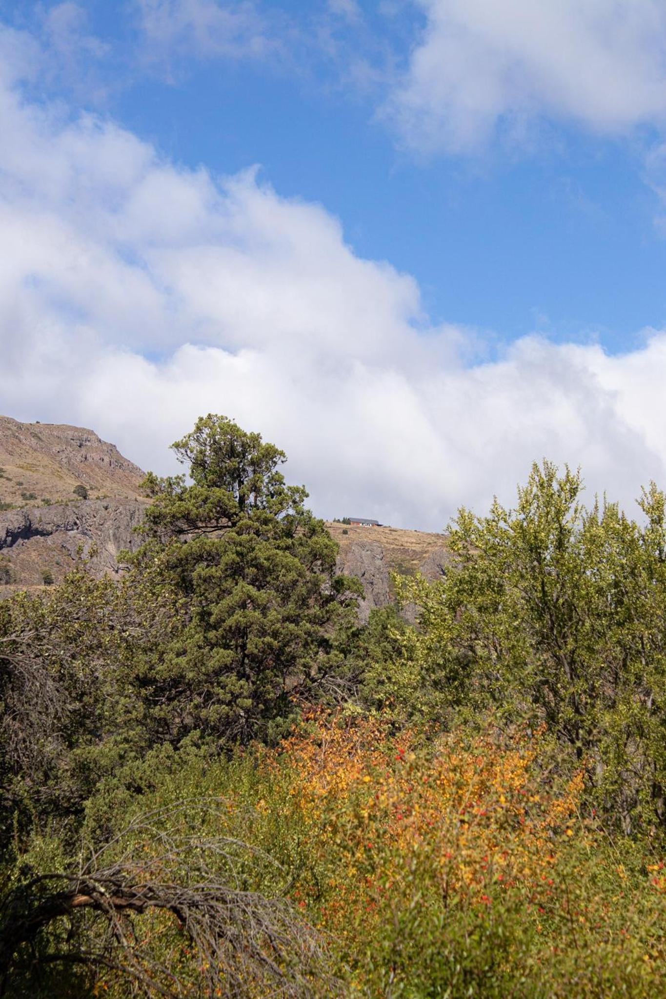 Mini Casa en la montaña con vista a la CASCADA- Andes Alquileres