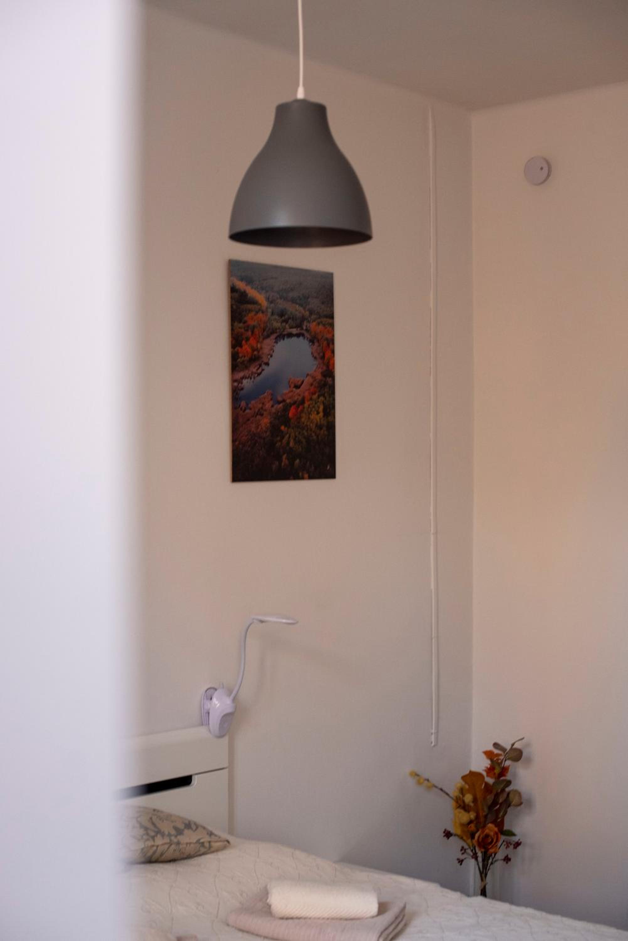 Photo 46
