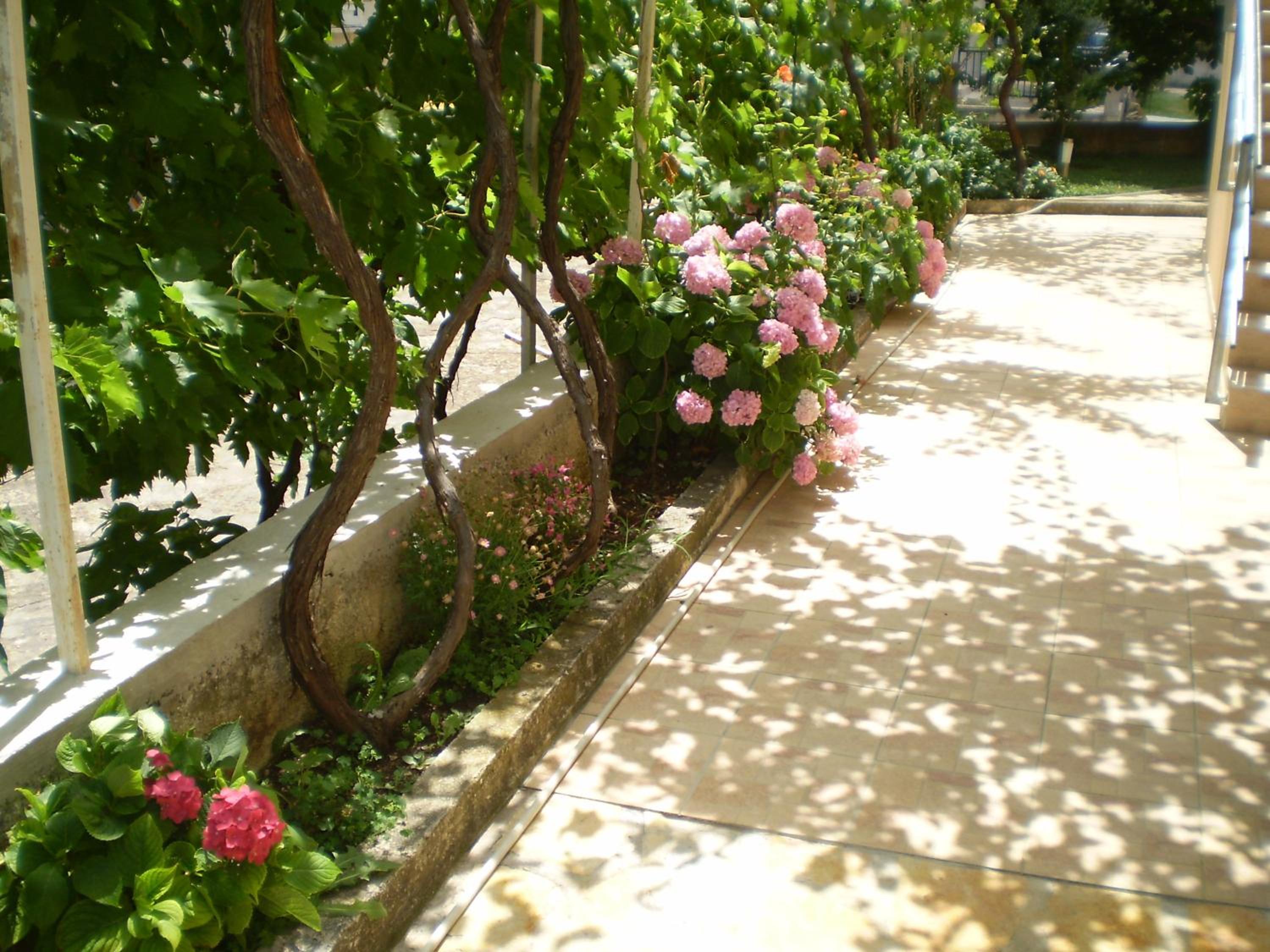 Photo 34