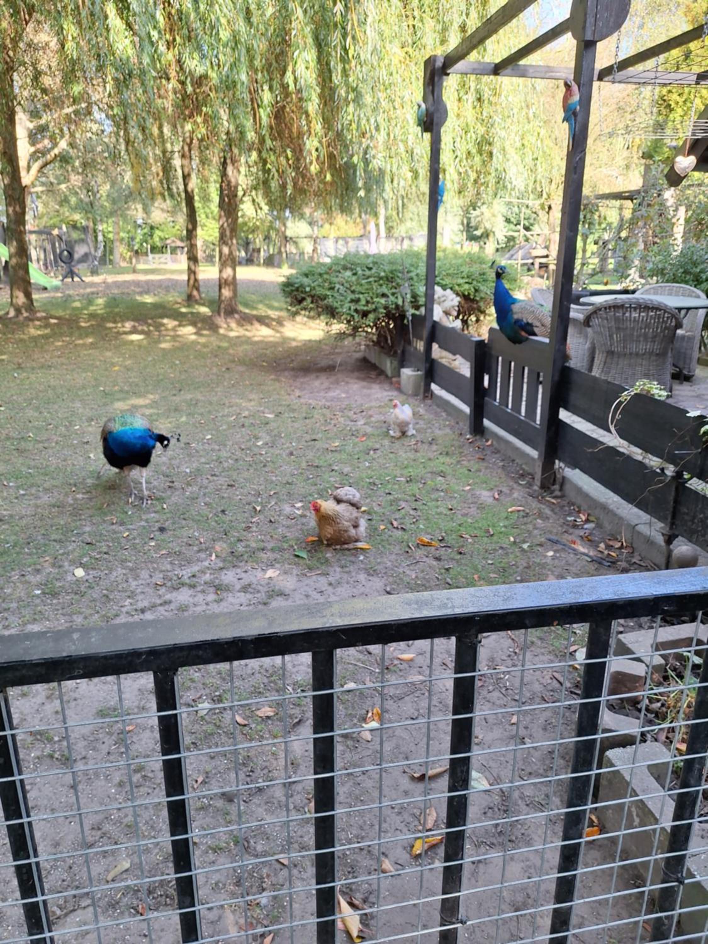 Photo 40