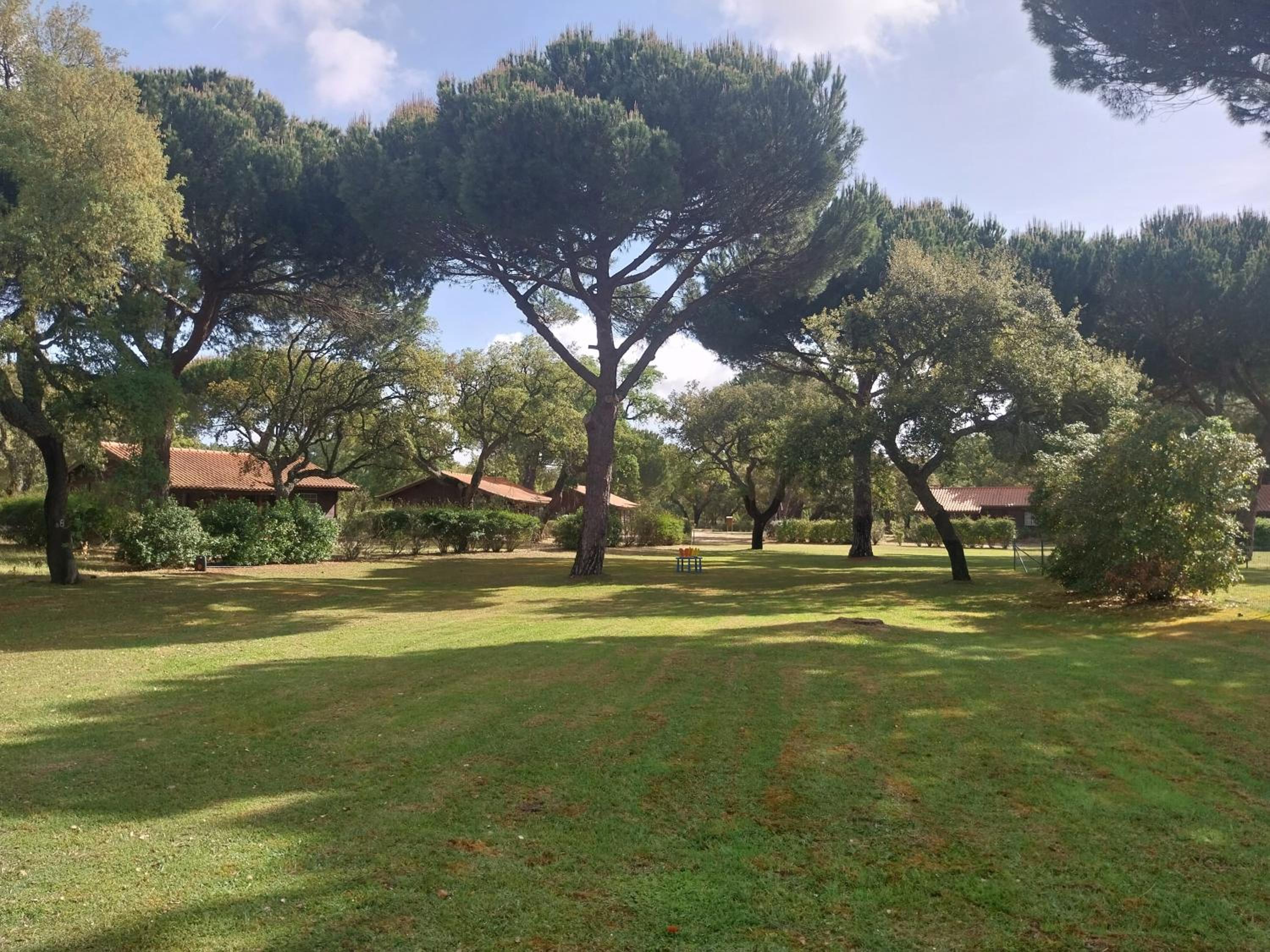 Aldeamento Turístico da Companhia das Lezírias view 5