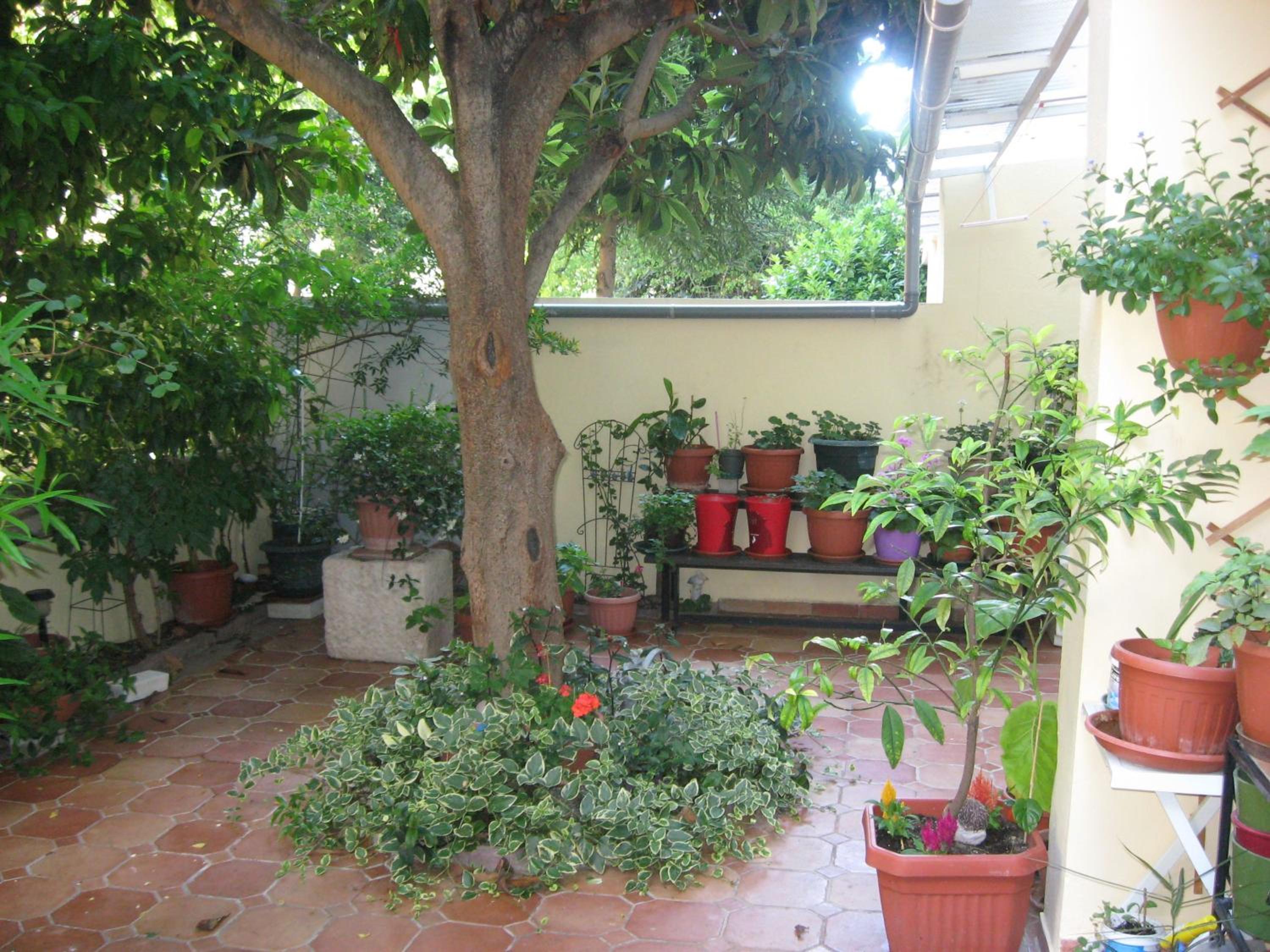 Studio Antonio