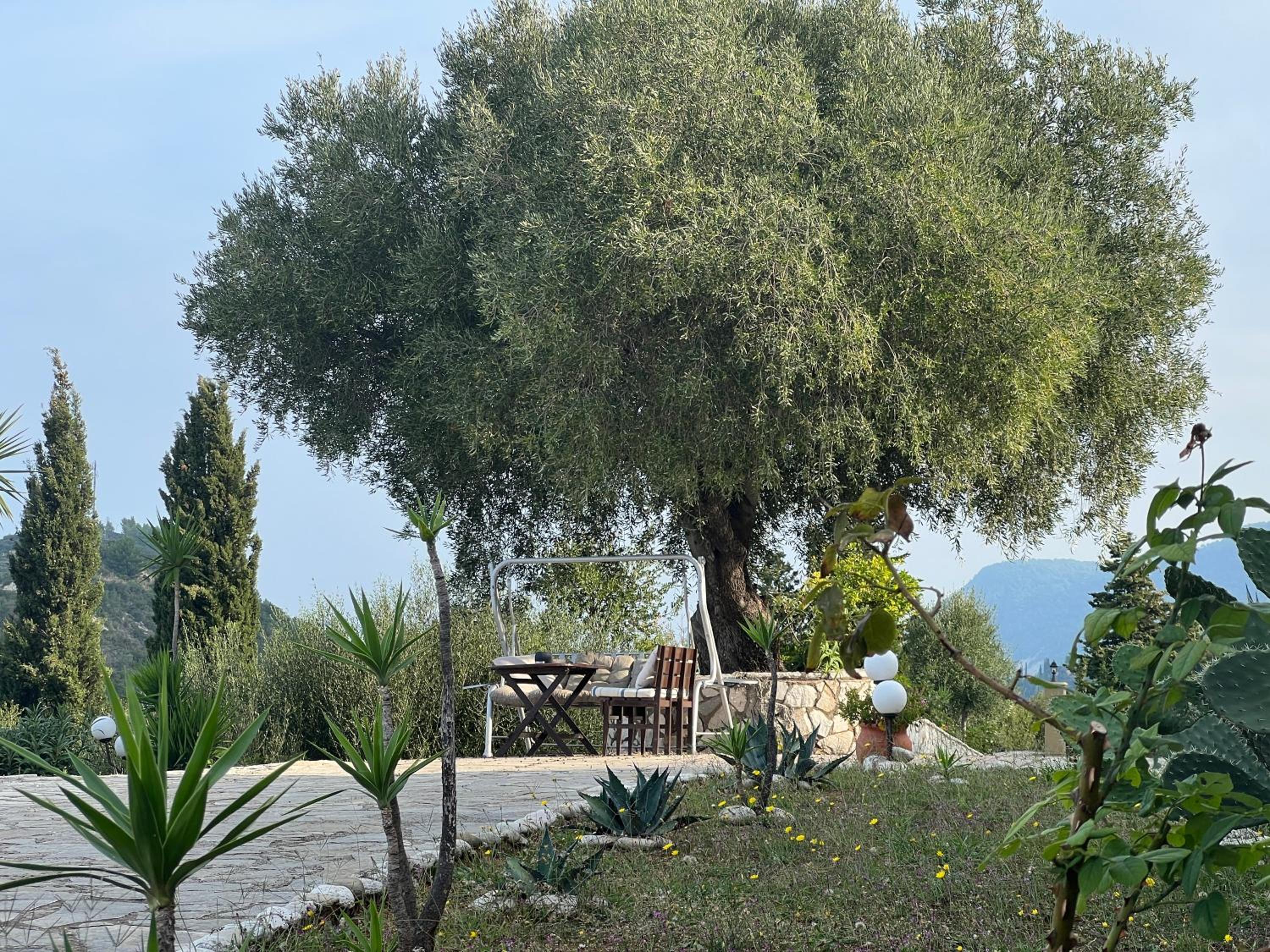Photo 40