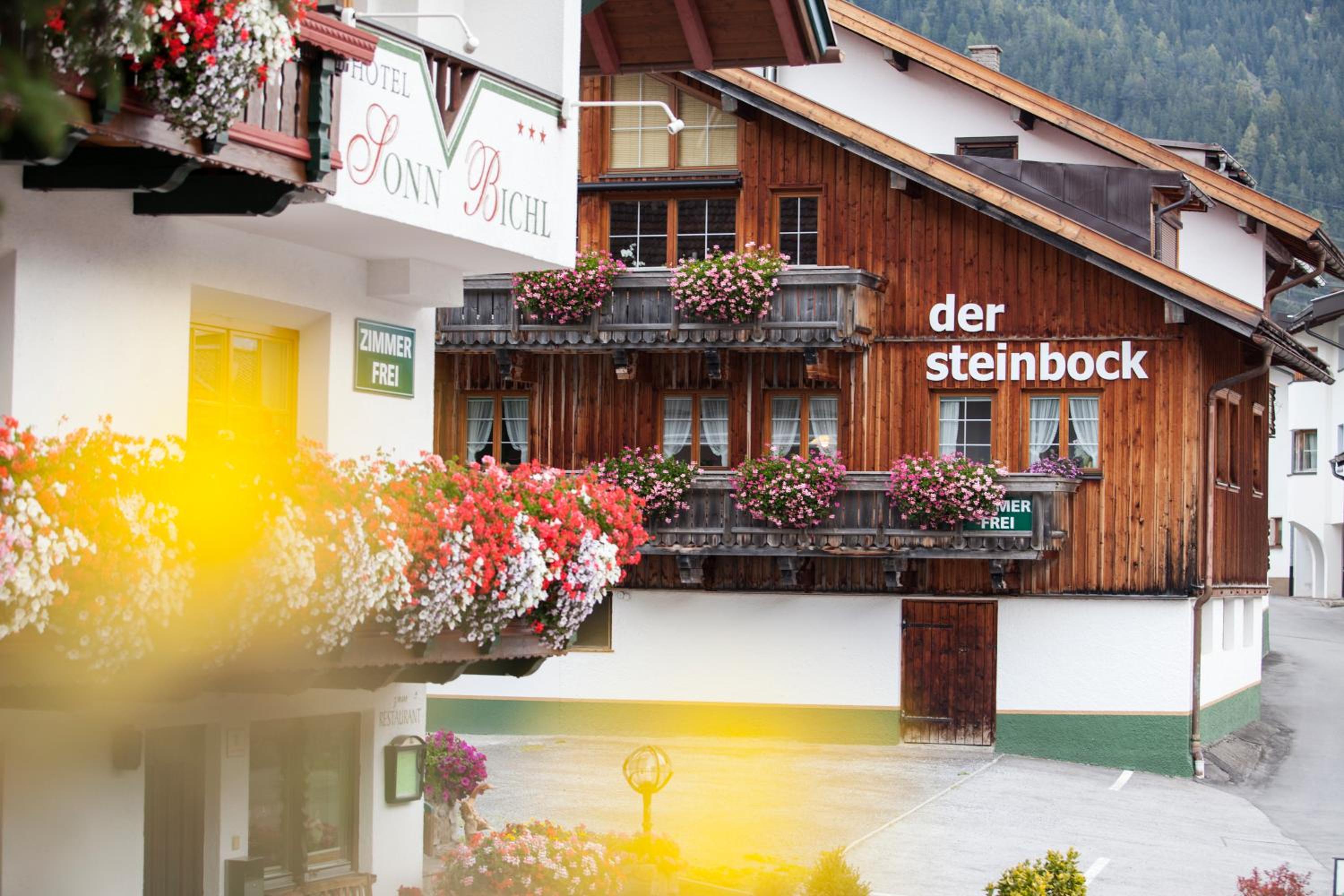 Chalet Hildegard der Steinbock Sommerwohnung Winterferienhaus