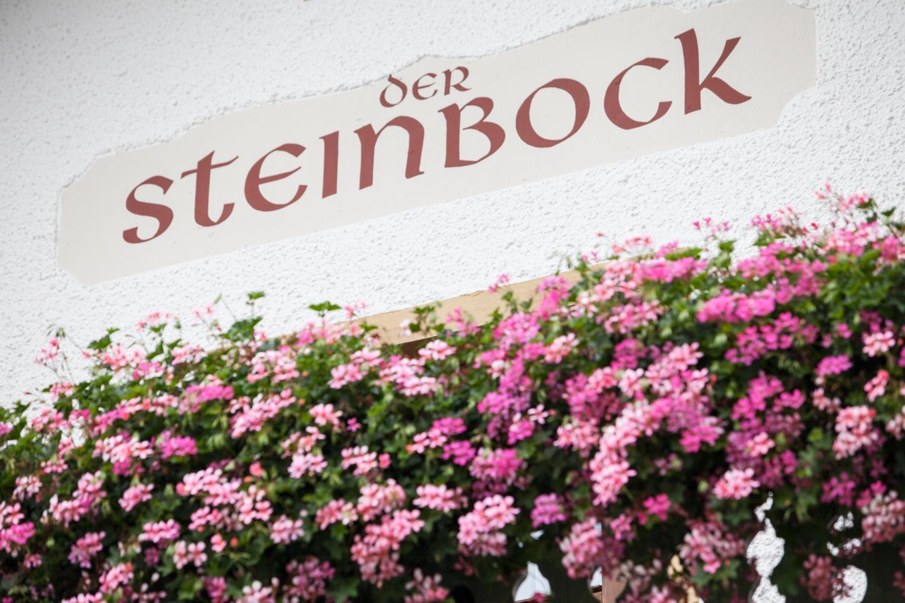 Chalet Hildegard der Steinbock Sommerwohnung Winterferienhaus