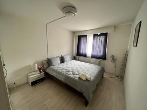 Beautiful 2.5 Room Apartment in Lucerne (Luzern)36 view 3