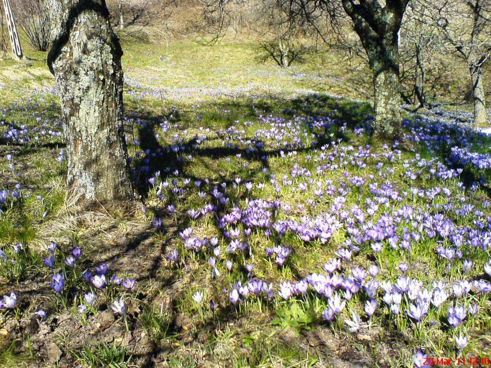 Photo 24