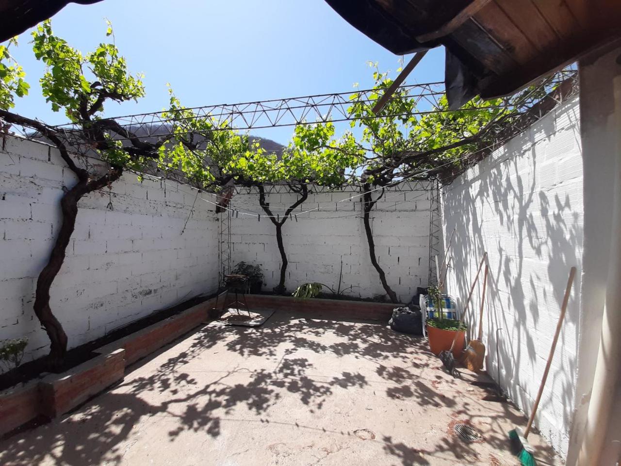 Arte y Vino Salta