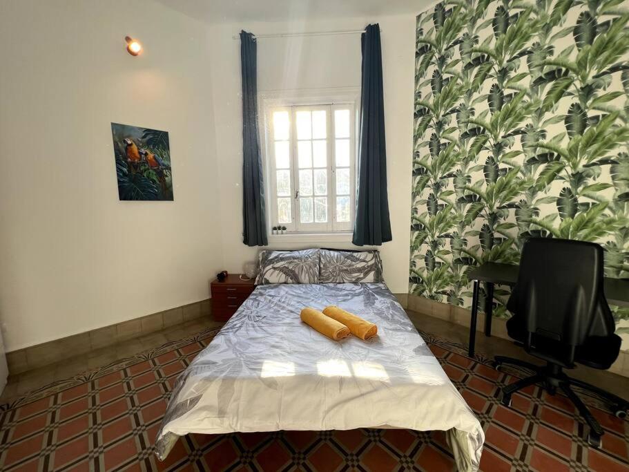 Colonial Villa in Las Palmas
