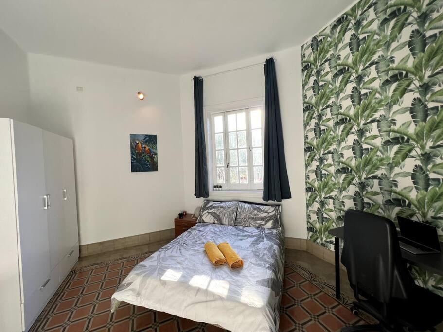 Colonial Villa in Las Palmas