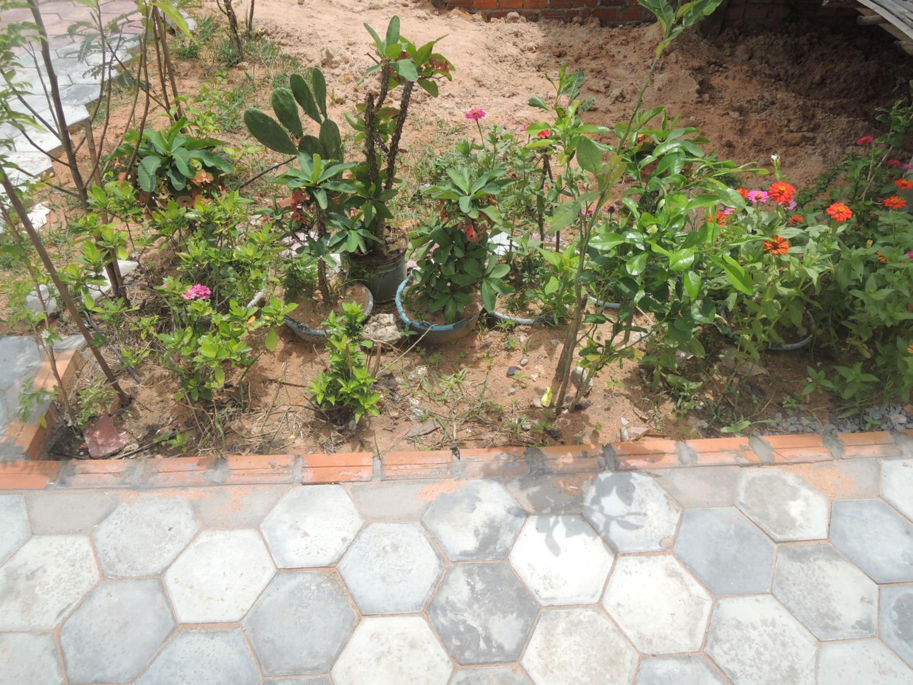 Photo 35