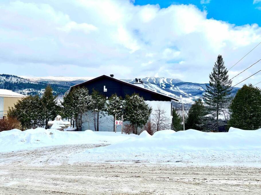 Magnifique VUE LAC et SKI