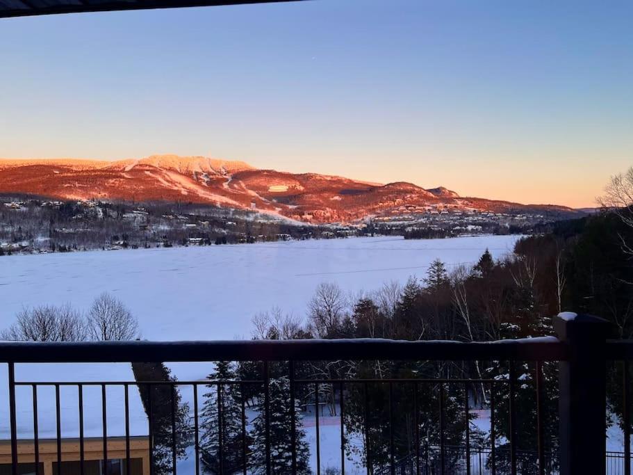 Magnifique VUE LAC et SKI
