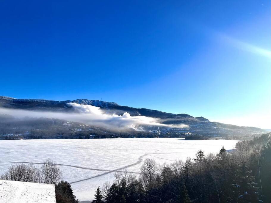 Magnifique VUE LAC et SKI