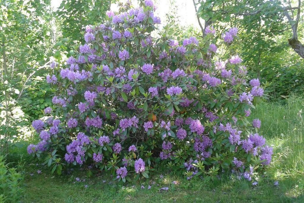 Hus uthyres i natursköna Glava, Arvika view 5
