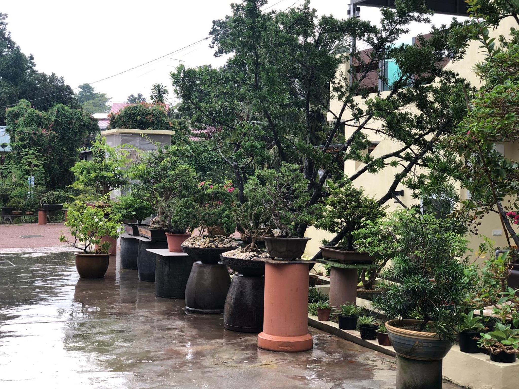 Bonsai Homestay Kluang - B17 photo 2