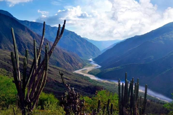 Montañita del Río