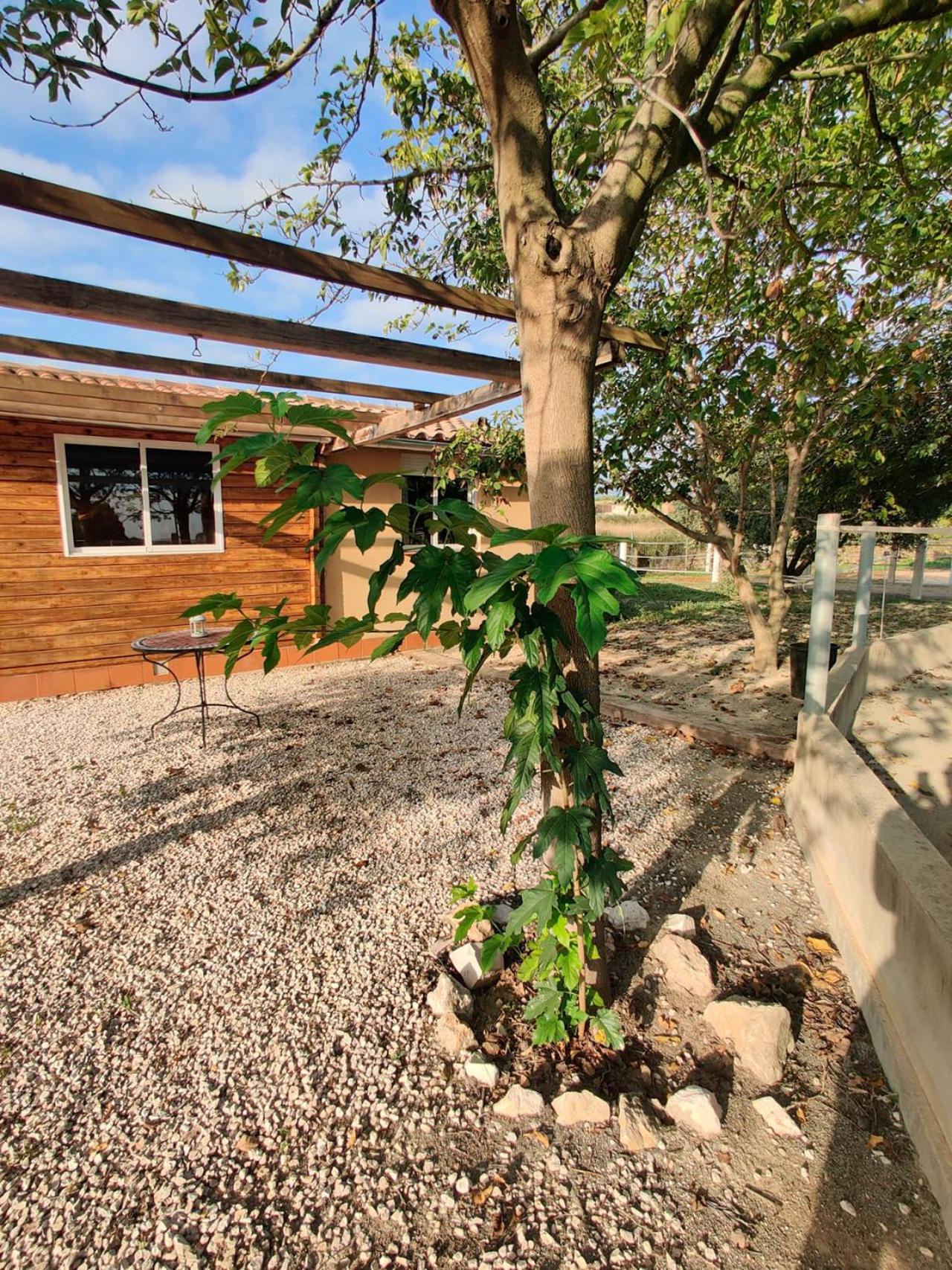 Casa Rural en Yeguada Vistabella.