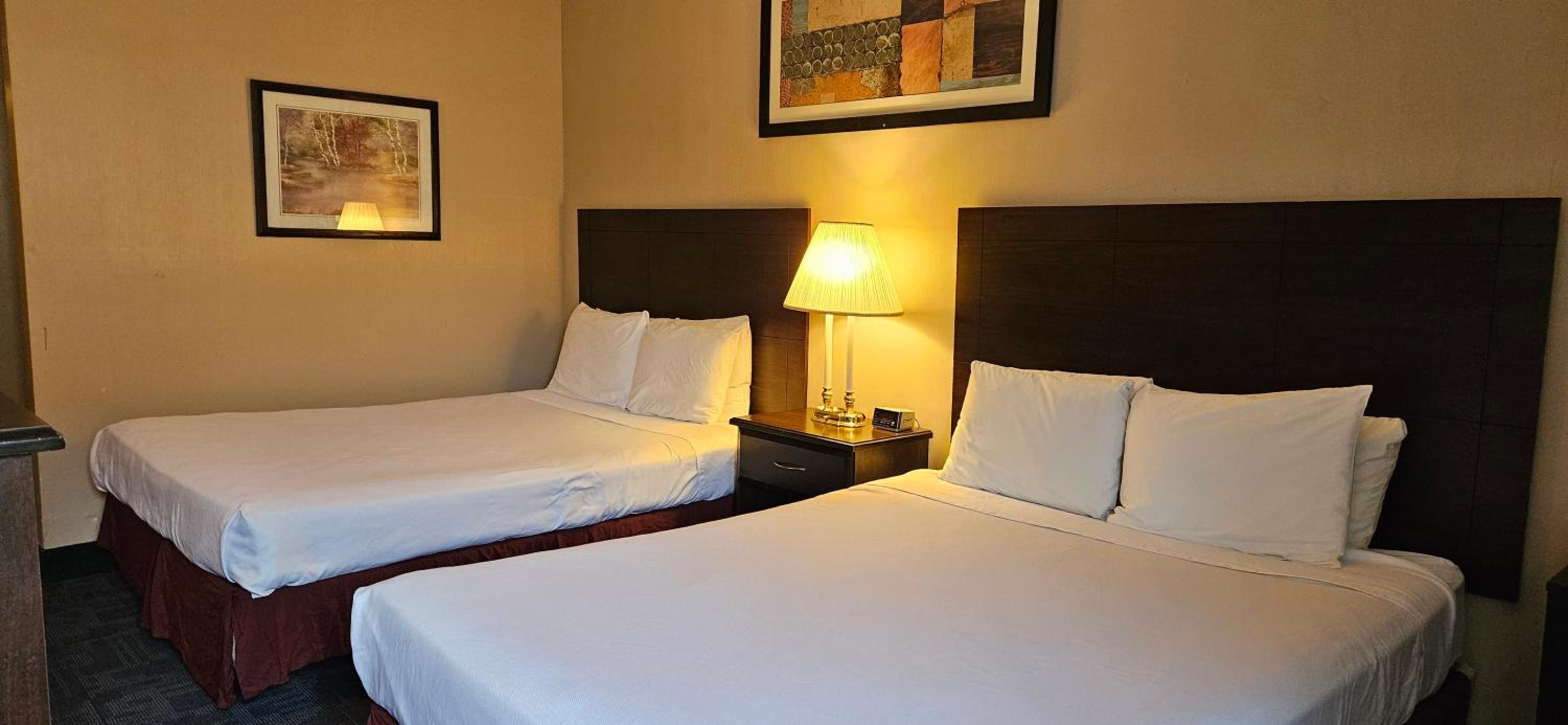 Bellis Inn, Bilde 27