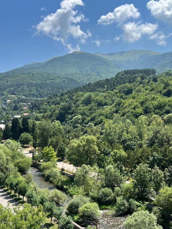 Cozy apartment Dilijan