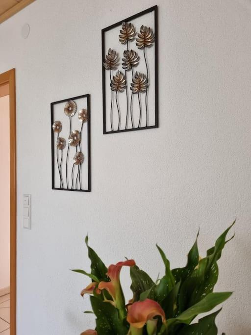 Ferienwohnung Seeblick