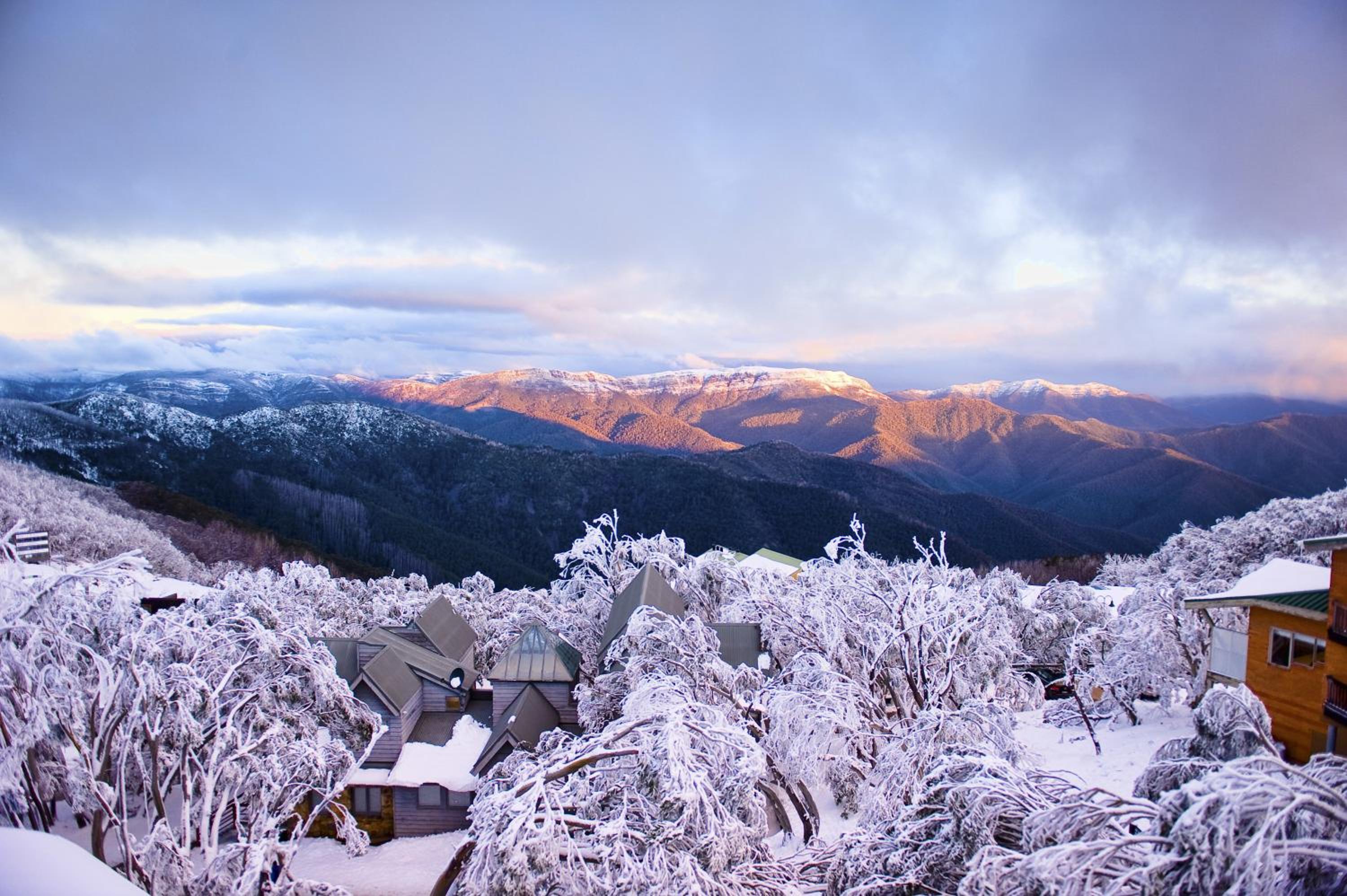 Chalet Apartments - Mt Buller Apartment Rentals