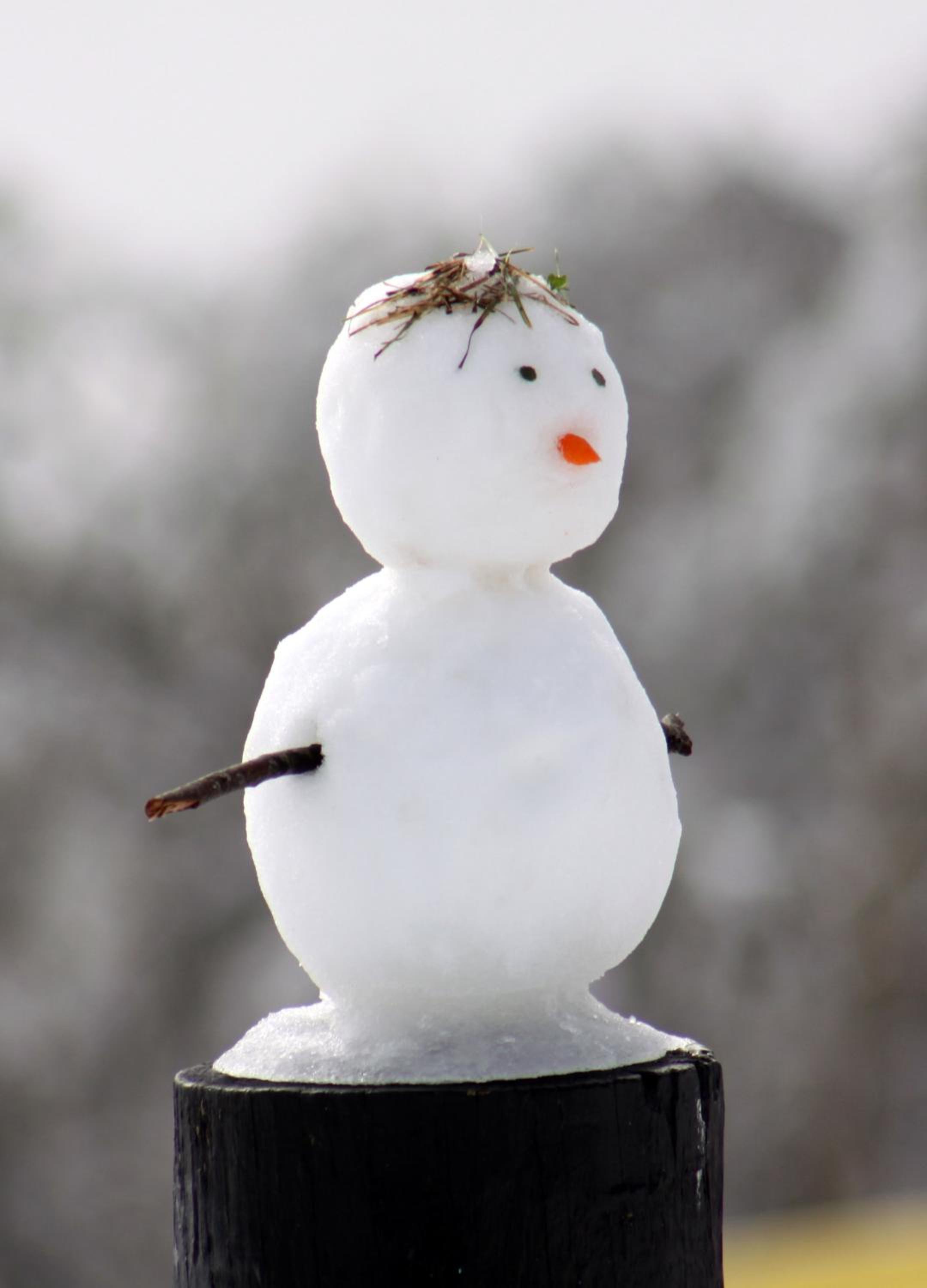 Chalet Apartments - Mt Buller Apartment Rentals