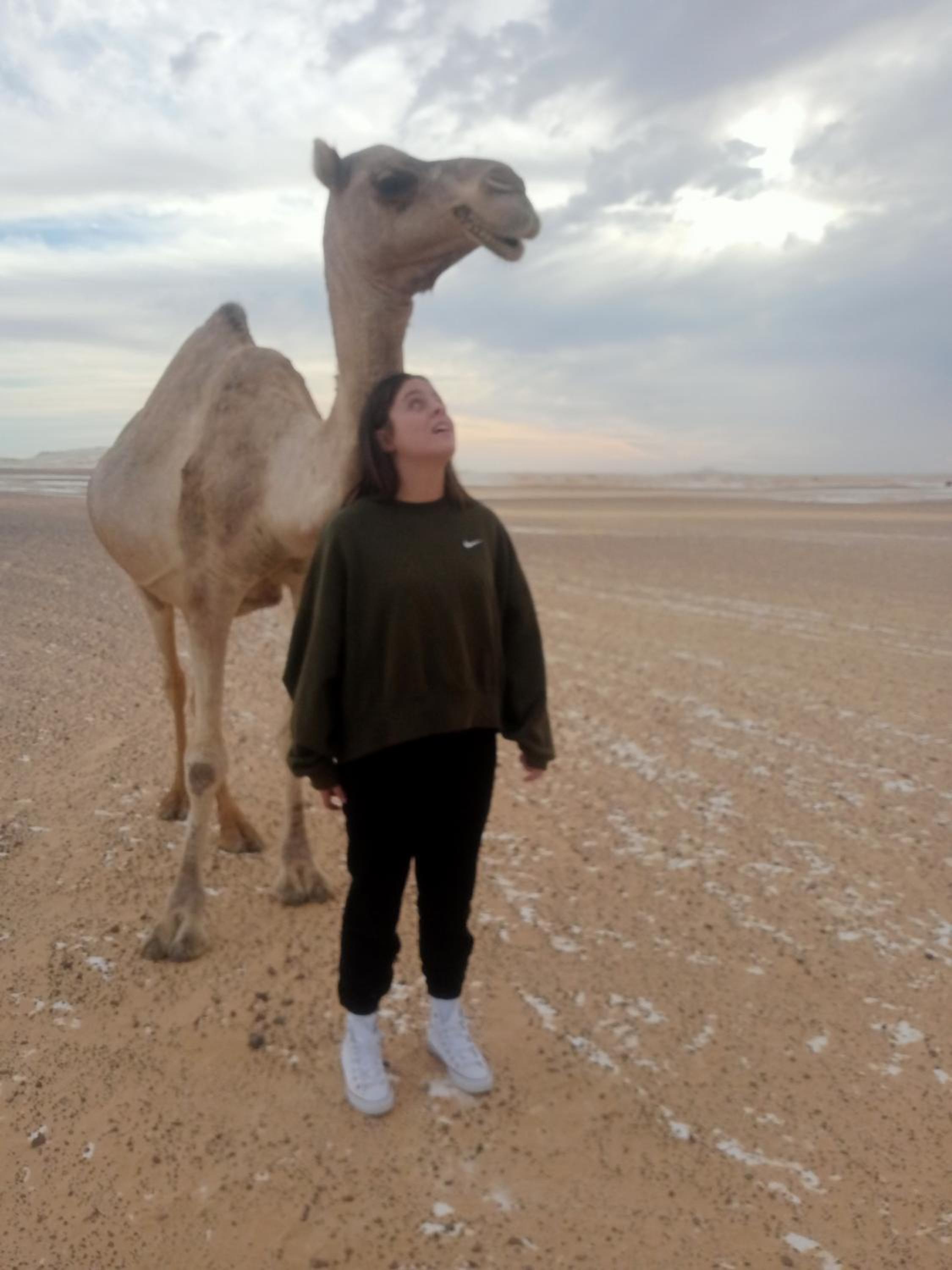 White Desert Safari