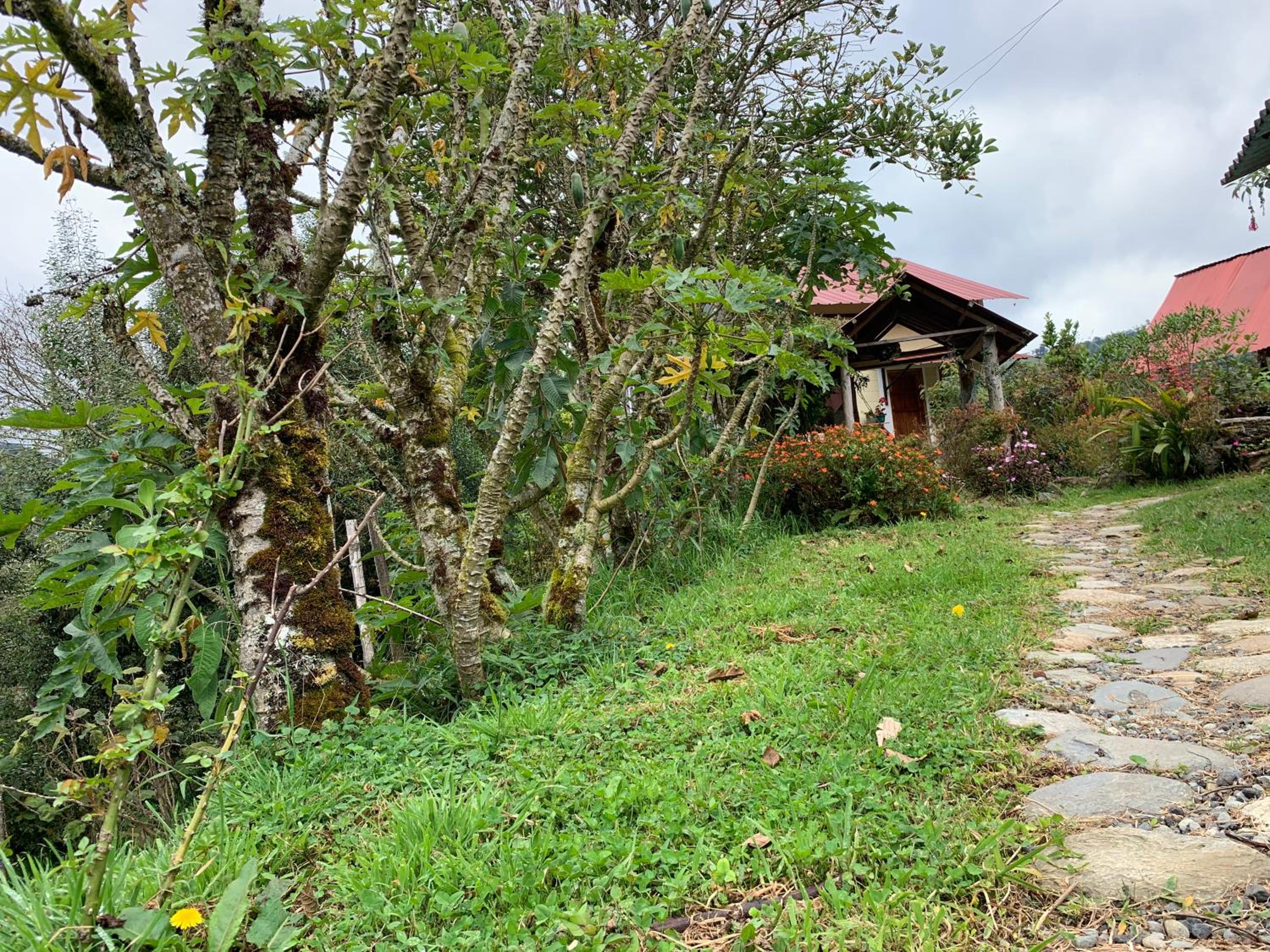 Photo 6