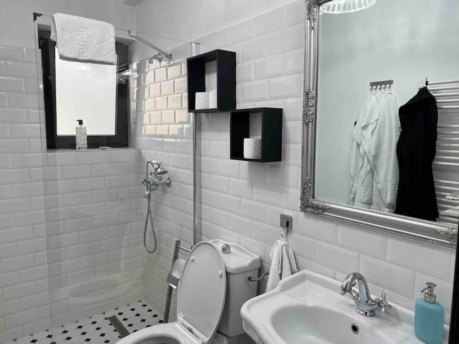 Studio Villa Floreasca view 2