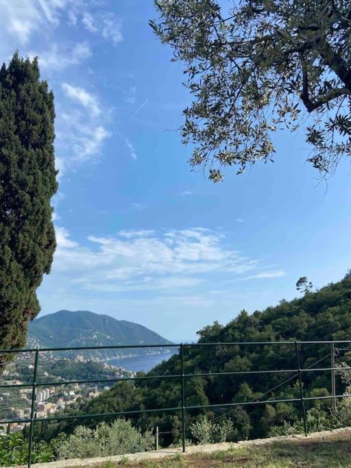 Casa Faveto, new Villa on Golfo Paradiso! view 3