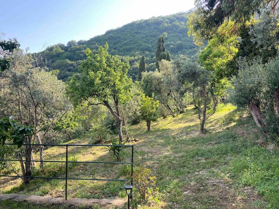 Casa Faveto, new Villa on Golfo Paradiso! view 4