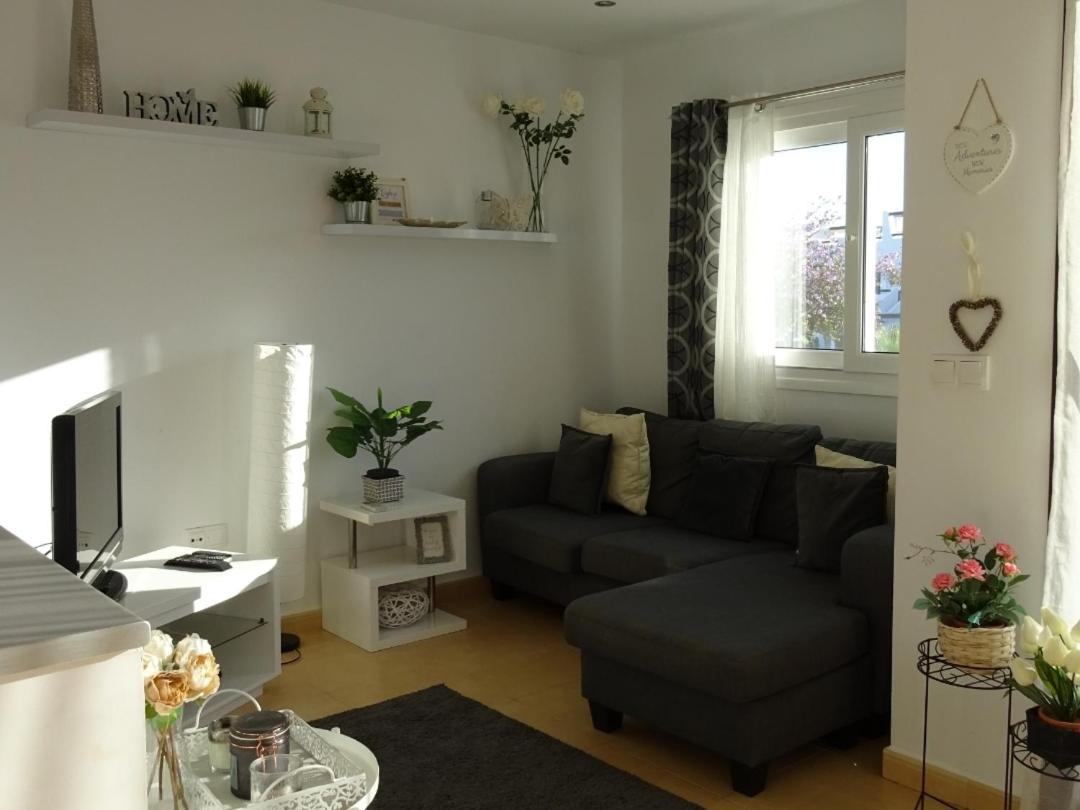 Jardin 566 view 3
