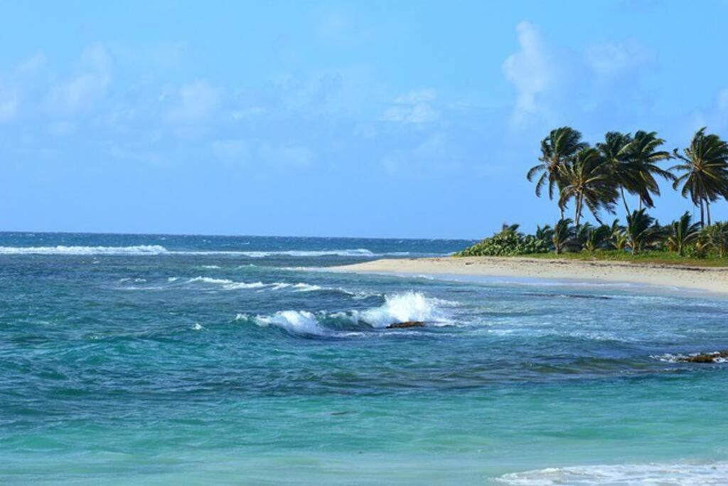 Photo 44