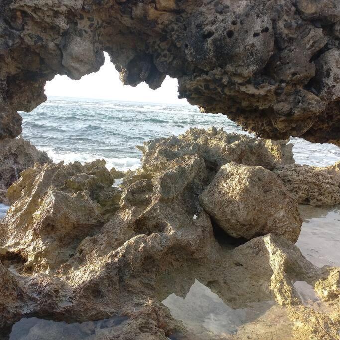 Photo 45
